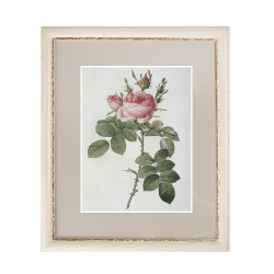 Постер в раме Роза и Шиповник 42